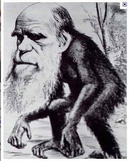 darwinmonkey